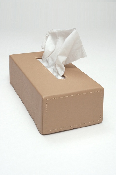 Tissue Box (zp-bx-03)