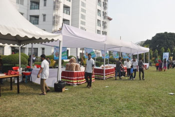 Merceantile Bank Annual Picnic 2020
